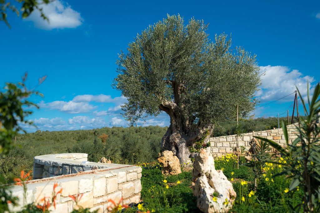 Olive Garden Villas Perama  Buitenkant foto